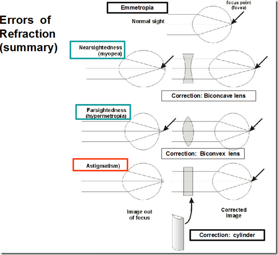 Physiology of vision Medatrio